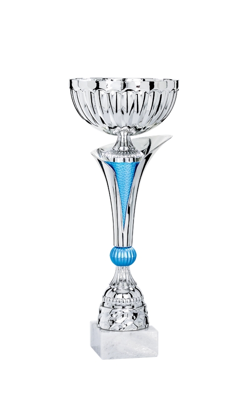Cup489